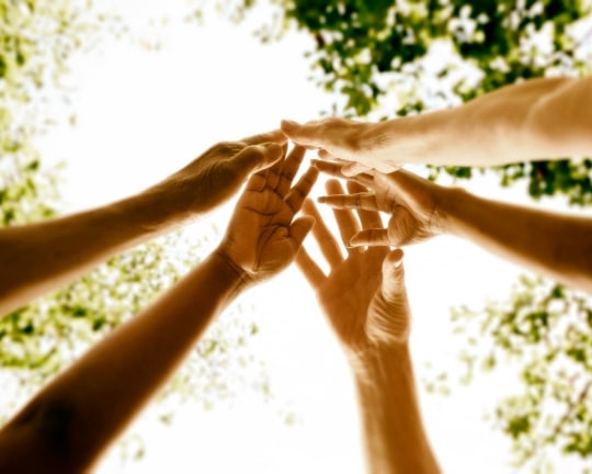 How to Improve Your Team Dynamics